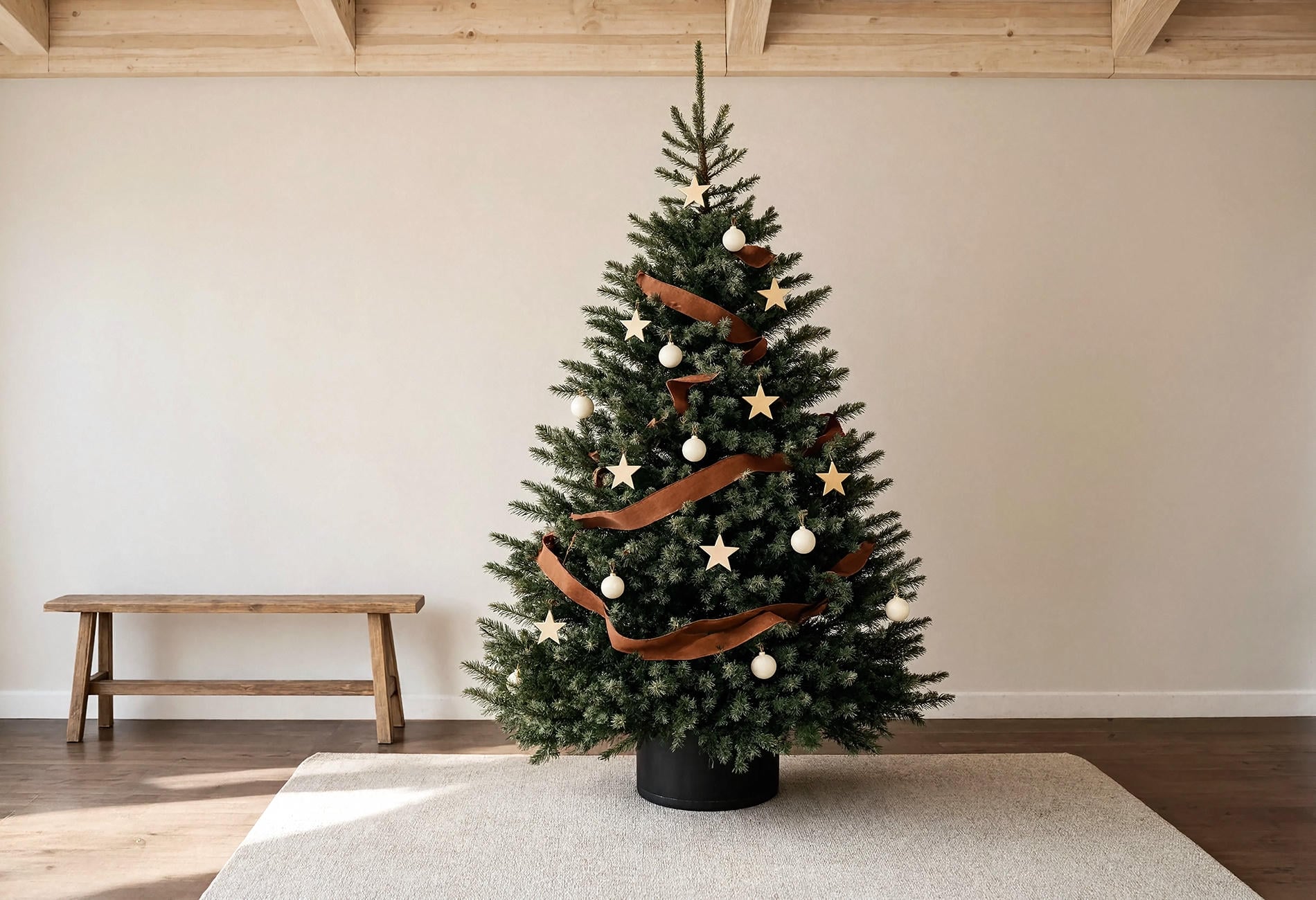 sparse fir tree